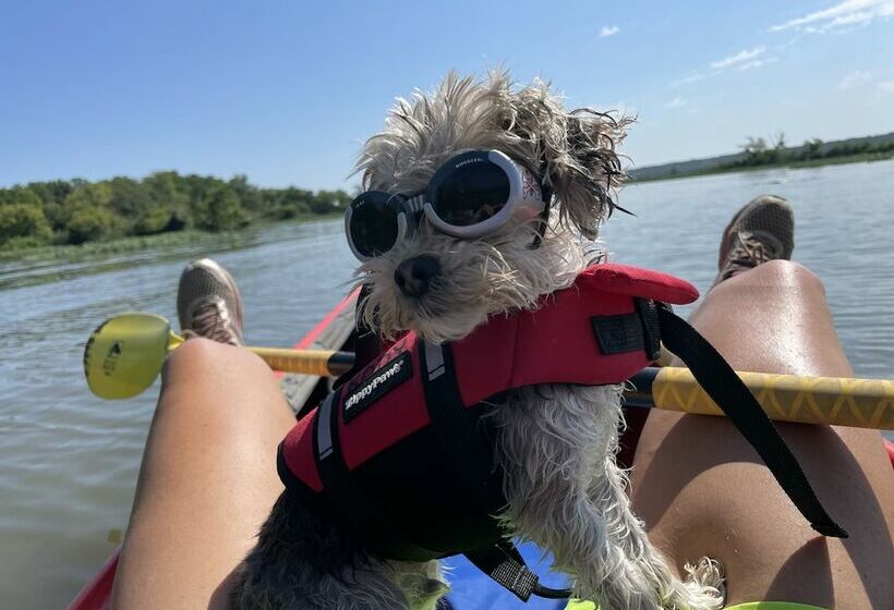 Отель Kayak Starved Rock Campground
