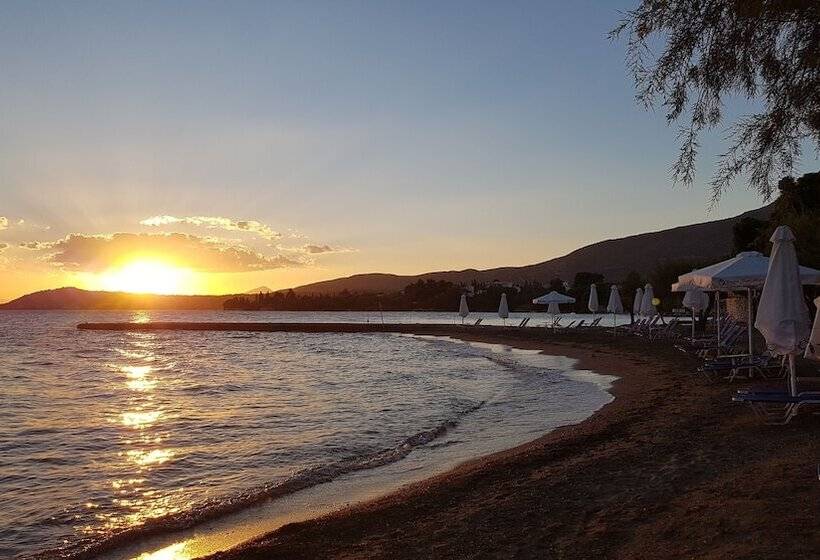 ホテル O Paradise Beach Resort & Spa