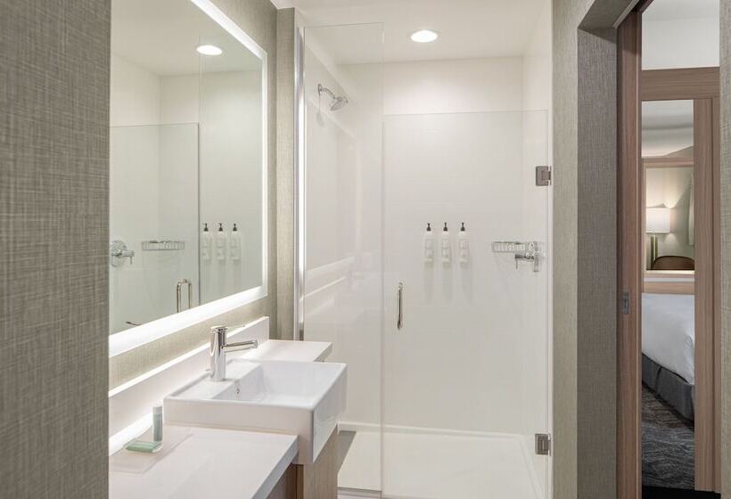 هتل Springhill Suites By Marriott Columbia Near Fort Jackson