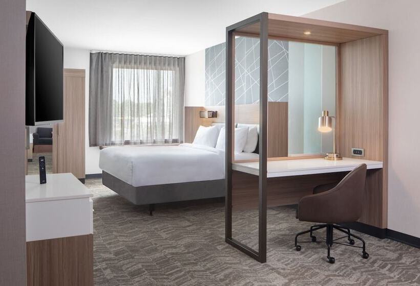 هتل Springhill Suites By Marriott Columbia Near Fort Jackson