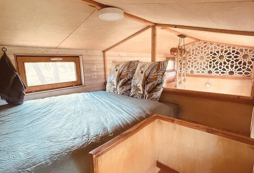 호텔 Tiny Stay Ecolodge