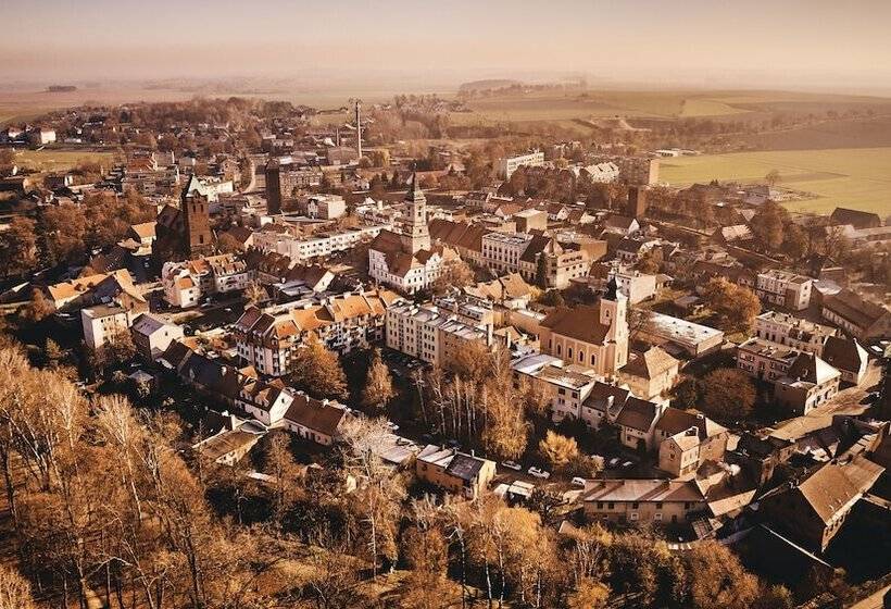 בית מלון כפרי Adler