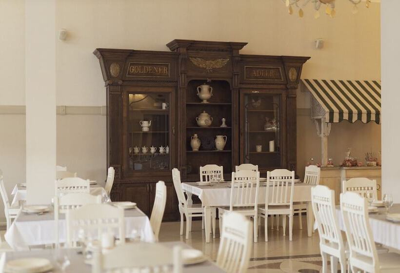 בית מלון כפרי Adler