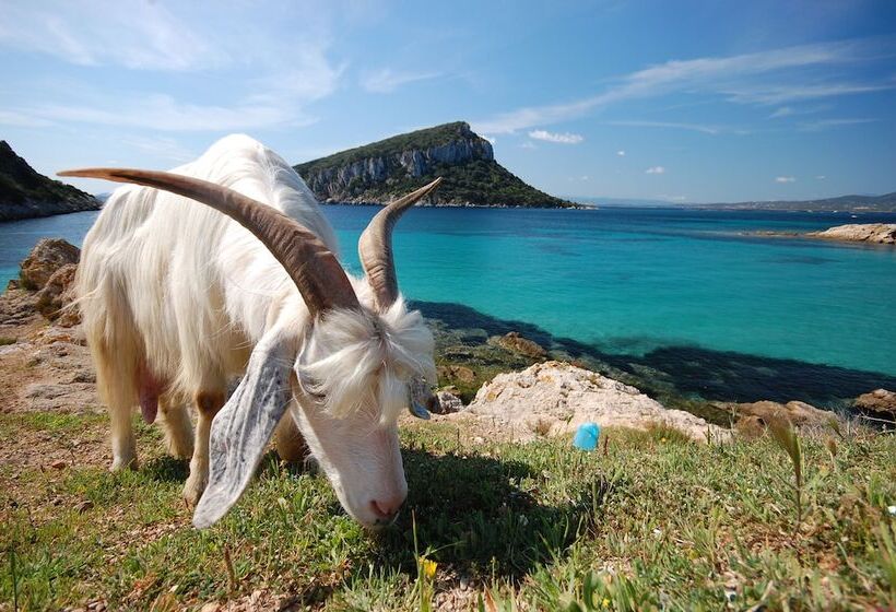 إقامة Il Girasole