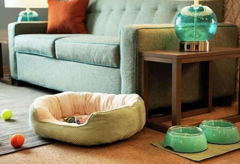 酒店 Home2 Suites By Hilton Leesburg