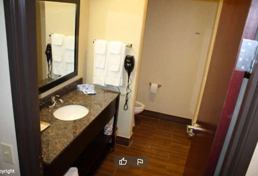 호텔 La Plaza Inn & Suites