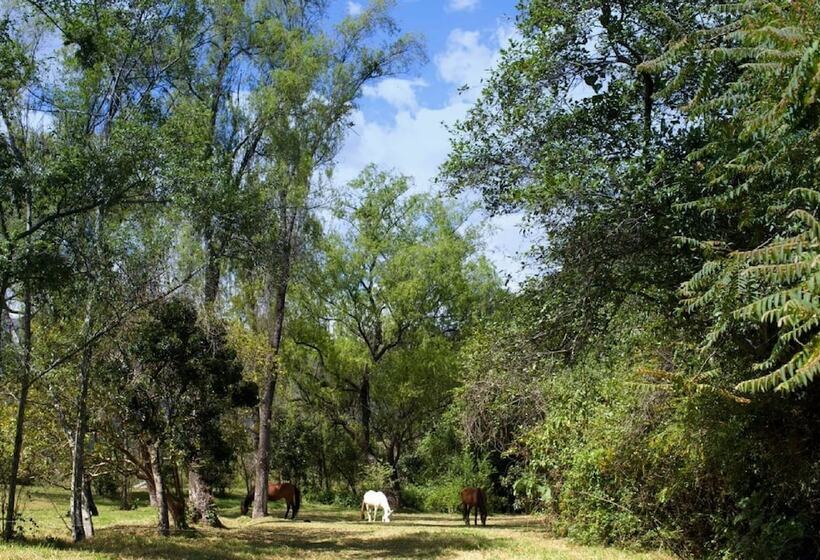 호텔 Ráquira Silvestre Lodge