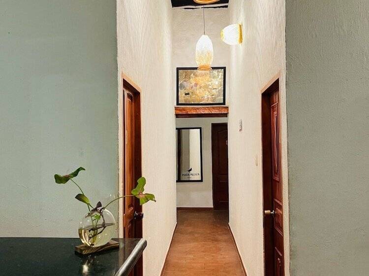 Maria Mulata Boutique Hostel