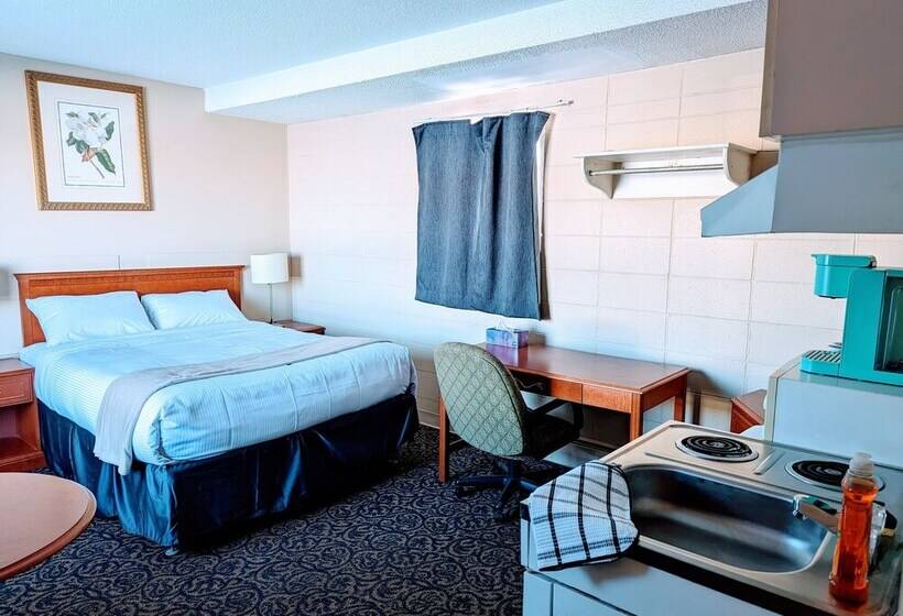 Matador Motel