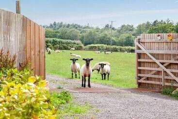 اقامتگاه Cosy Cottage In The Blackdown Hills, Devon