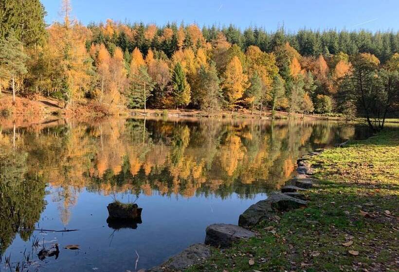 إقامة The Forest Coach House   Minutes From The Forest