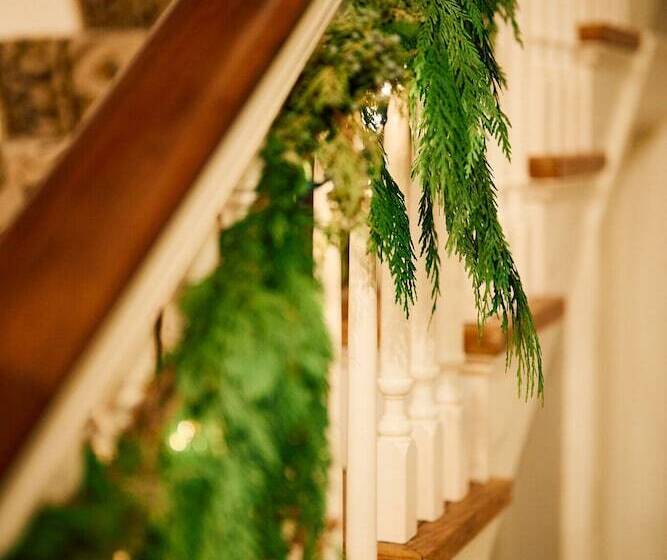 تختخواب و صبحانه 16 Elm Heritage