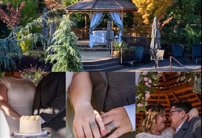 تختخواب و صبحانه Country Willows Inn And Estate