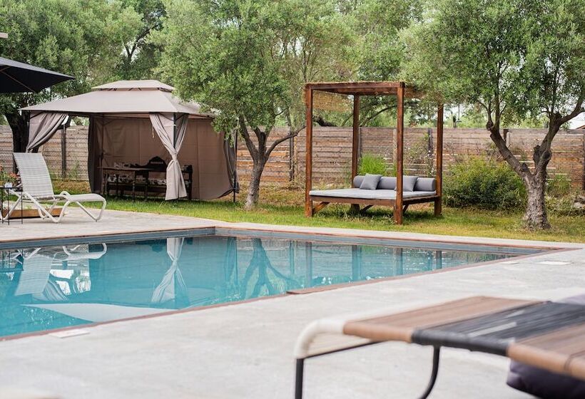 Bed and Breakfast Pefkon Suites