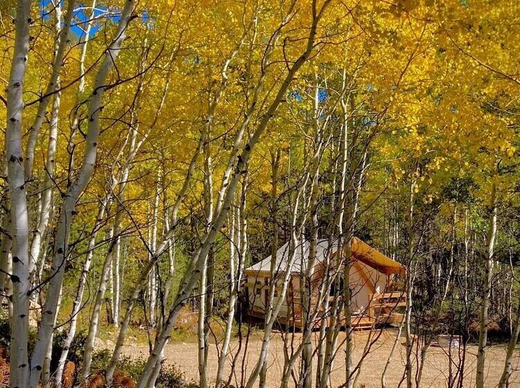 فندق ريفى Arapaho Valley Ranch