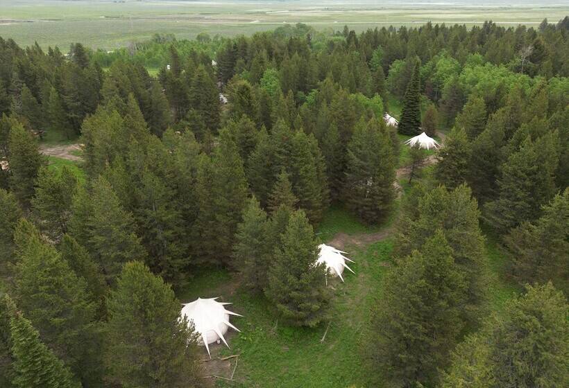 هتل Starlight Retreat Yellowstone