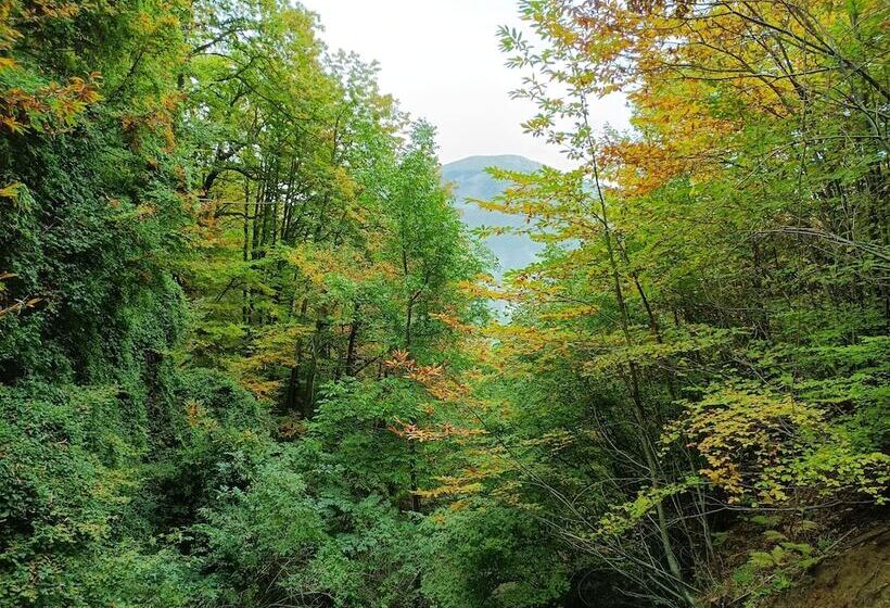 إقامة Beautiful 2 Bed House