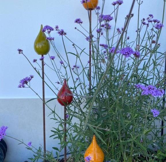 مبيت وإفطار Palm View Guesthouse, Adults Only