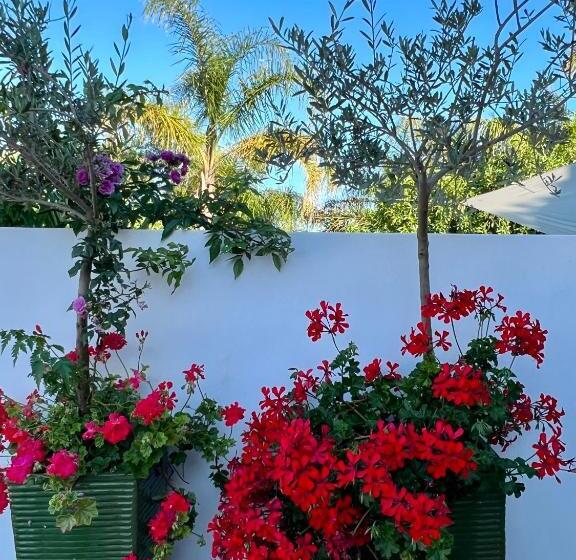 مبيت وإفطار Palm View Guesthouse, Adults Only