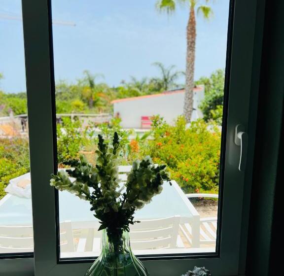 مبيت وإفطار Palm View Guesthouse, Adults Only