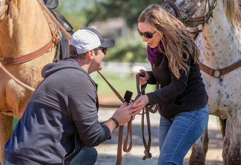 مبيت وإفطار Southern Cross Guest Ranch