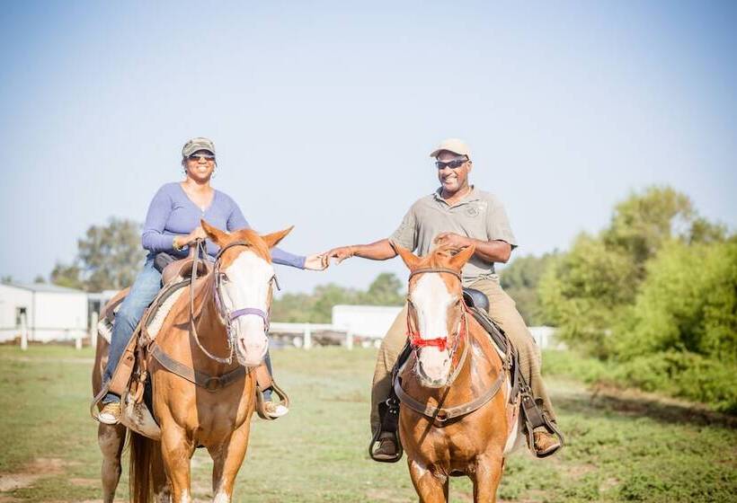 مبيت وإفطار Southern Cross Guest Ranch
