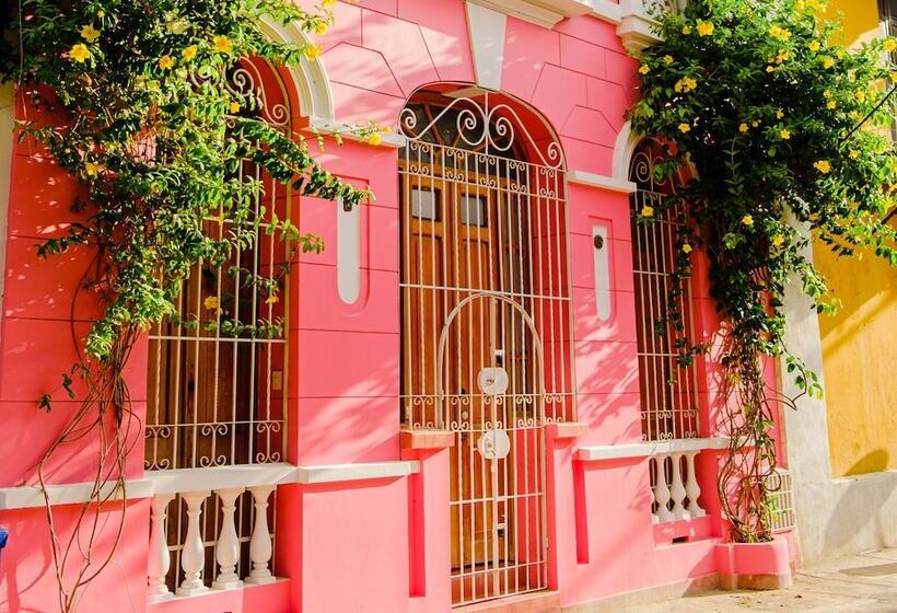 Casa Rosa   Alma Hotels