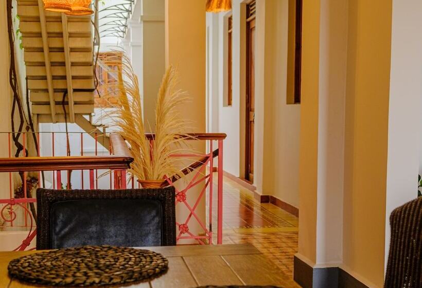 Casa Rosa   Alma Hotels