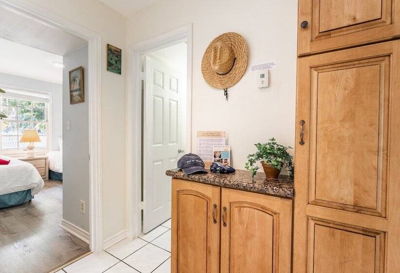 Conch Adventure By Avantstay Great Location W/ Patio, Outdoor Dining And Shared Pool! Week Long Stay