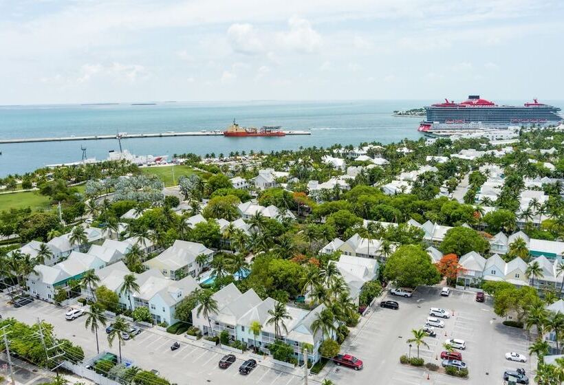 Conch Adventure By Avantstay Great Location W/ Patio, Outdoor Dining And Shared Pool! Week Long Stay