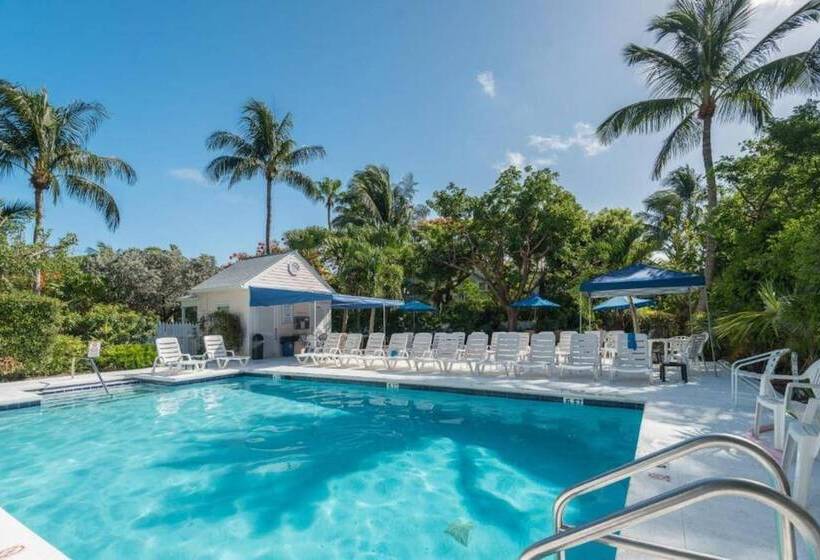 Conch Adventure By Avantstay Great Location W/ Patio, Outdoor Dining And Shared Pool! Week Long Stay