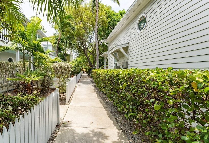 Conch Adventure By Avantstay Great Location W/ Patio, Outdoor Dining And Shared Pool! Week Long Stay