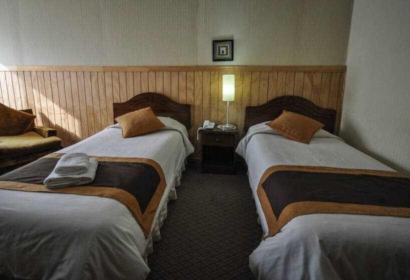 فندق صغير Hostal Los Pinos