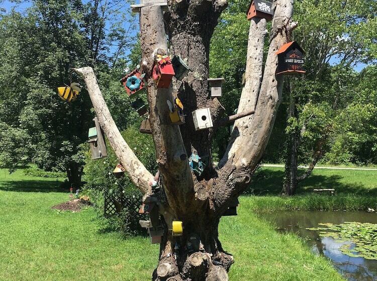 مبيت وإفطار Misty Mountain Inn