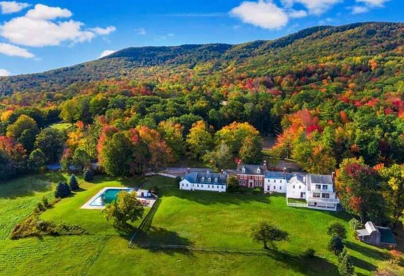 Blue Bear Inn