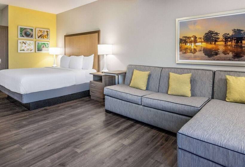 هتل La Quinta Inn & Suites By Wyndham Valdosta