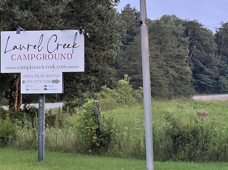 ホテル Laurel Creek Campground