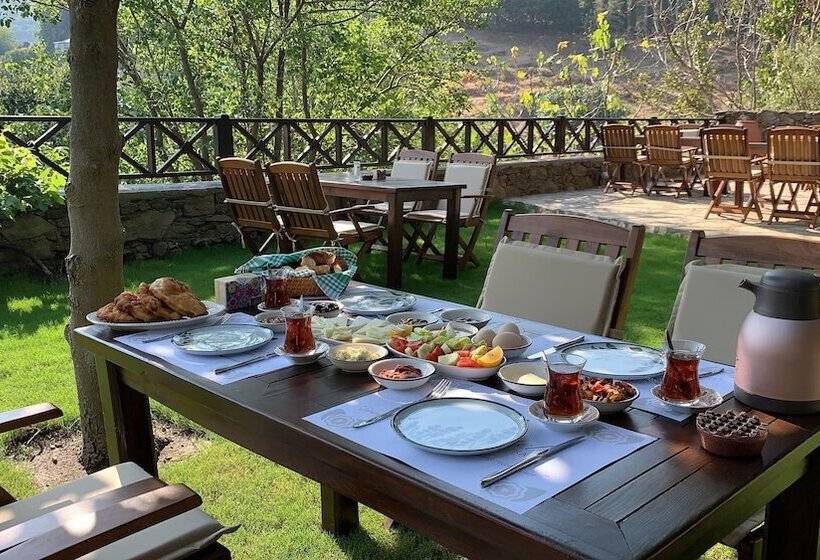 펜션 şi̇ri̇nce Bahçe