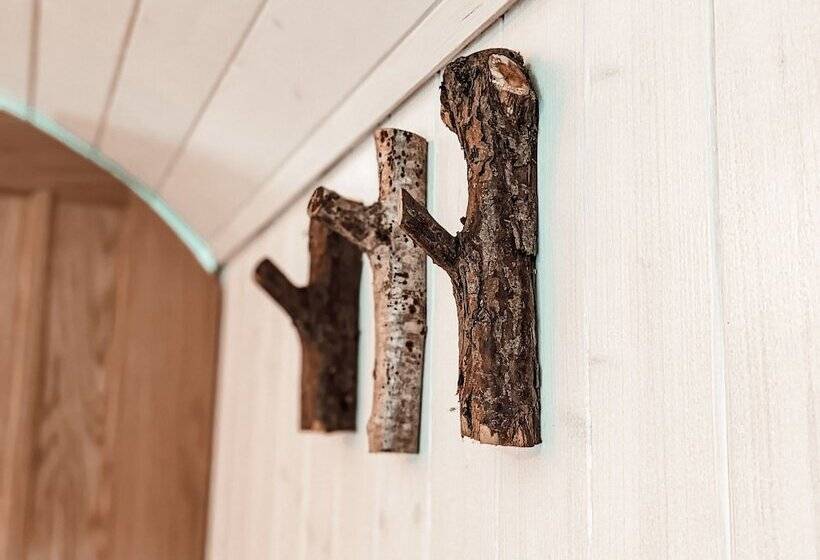 Stunning Shepherd S Hut Retreat, North Devon