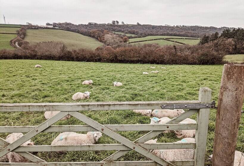 Stunning Shepherd S Hut Retreat, North Devon