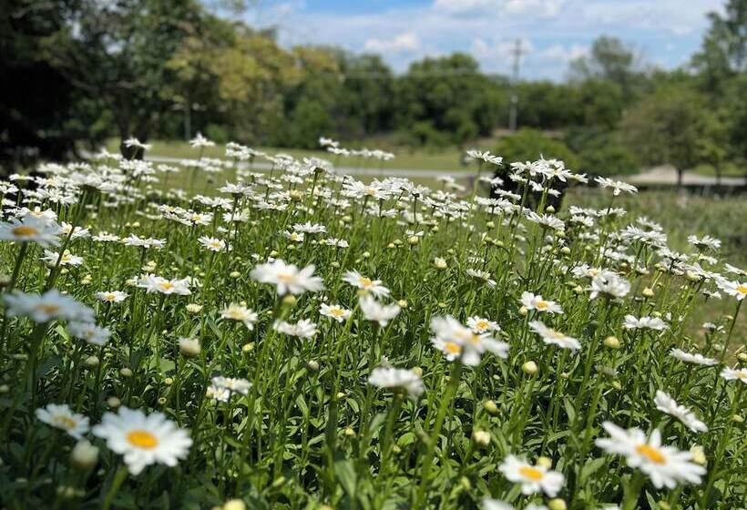 Bed and Breakfast Nesselrod On The New