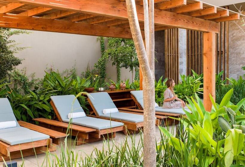 هتل Casa Maat At Jw Marriott Los Cabos Beach Resort & Spa
