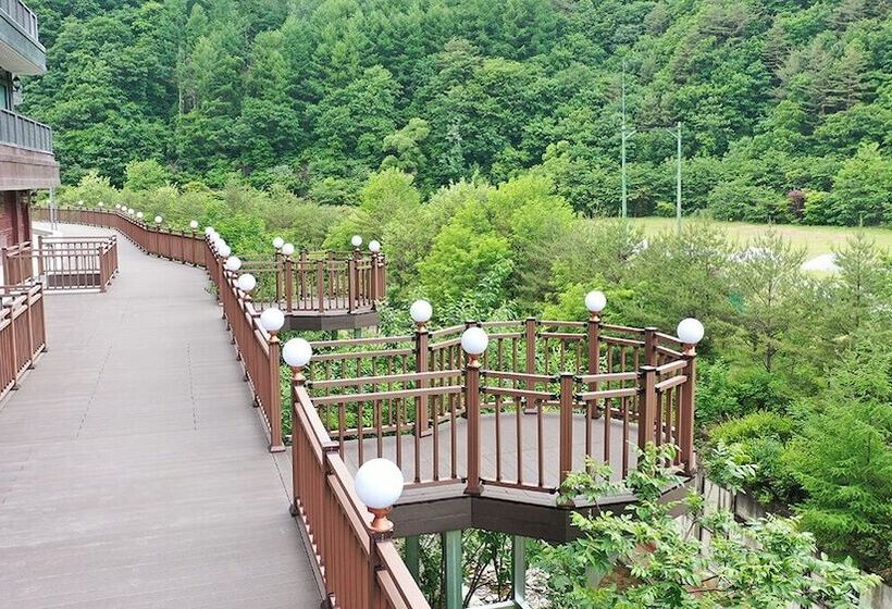 酒店 Taebaek