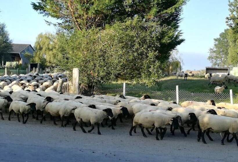 פנסיון Gîtes Les 2 Clos Au Pied Du Mont