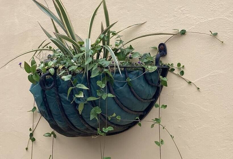 דירת נופש 1 Bedroomed Detached Holiday Retreat Pant