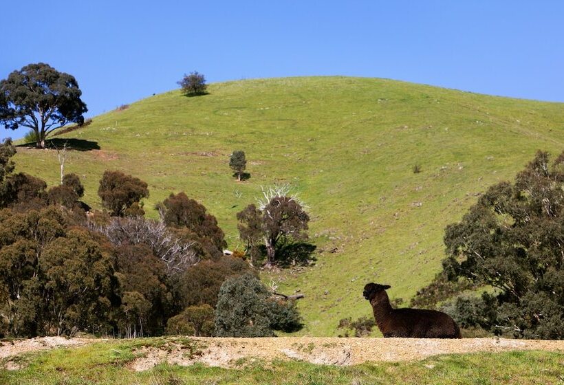 אתר נופש The Village Green Glampervans
