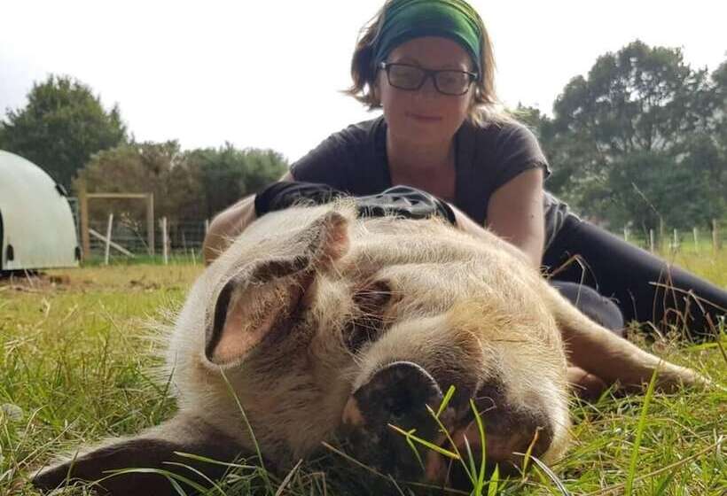Idlewild Animal Sanctuary Farmhouse Stay Charity