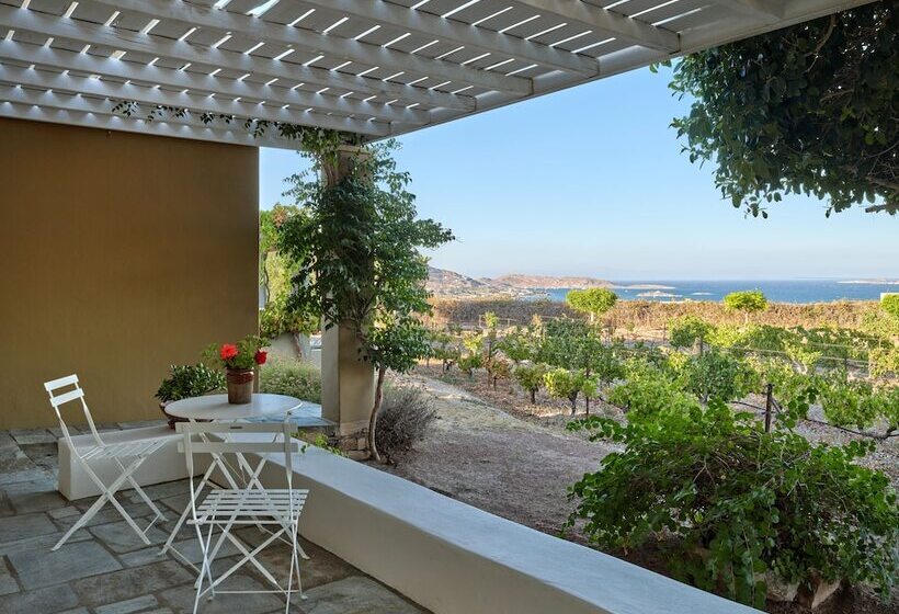 Aria Paros Residence