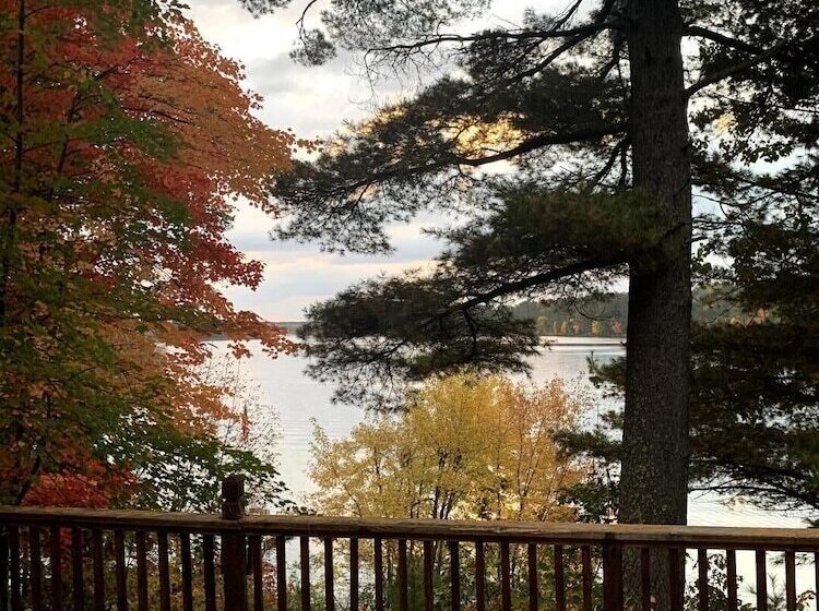 Birch Tree Lodge