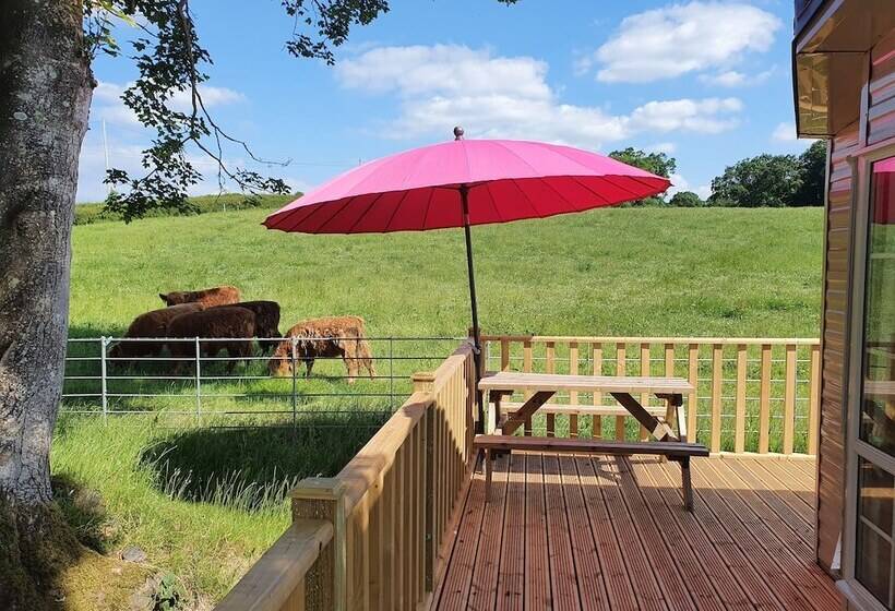 Gaerhyfryd Static Caravan